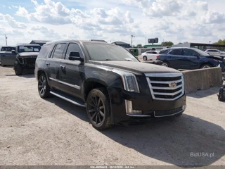 CADILLAC CADILLAC ESCALADE LUXURY COLLECTION