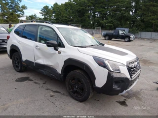 SUBARU SUBARU FORESTER WILDERNESS
