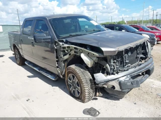 FORD FORD F-150 XLT