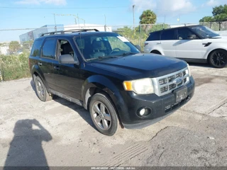 FORD FORD ESCAPE XLT