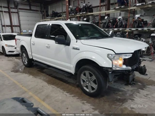 FORD FORD F-150 XLT