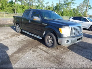 FORD FORD F-150 XLT