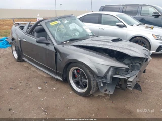 FORD FORD MUSTANG GT