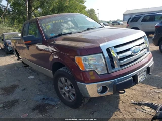 FORD FORD F-150 FX4/LARIAT/XL/XLT