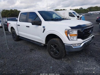 FORD FORD F-150 XLT