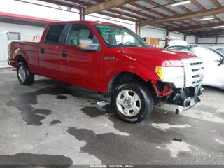 FORD FORD F-150 KING RANCH/LARIAT/PLATINUM/XL/XLT