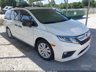 HONDA HONDA ODYSSEY LX