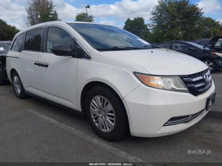 HONDA HONDA ODYSSEY LX