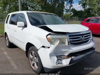 HONDA HONDA PILOT EX-L