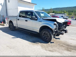 FORD FORD F-150 XLT