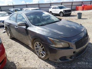 NISSAN NISSAN MAXIMA 3.5 SV