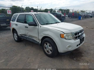 FORD FORD ESCAPE XLT