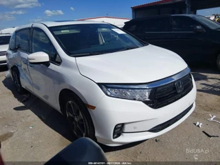 HONDA HONDA ODYSSEY ELITE