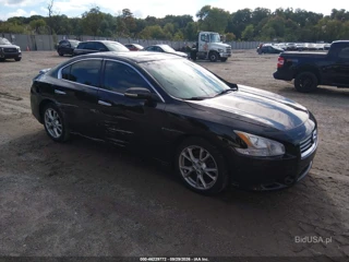 NISSAN NISSAN MAXIMA 3.5 SV