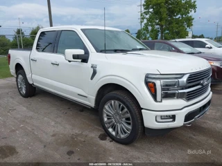 FORD FORD F-150 PLATINUM