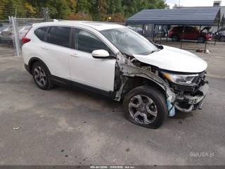 HONDA HONDA CR-V EX