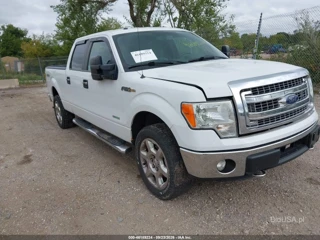 FORD FORD F-150 XLT