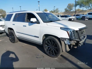 CADILLAC CADILLAC ESCALADE 2WD PLATINUM