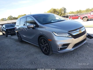 HONDA HONDA ODYSSEY ELITE