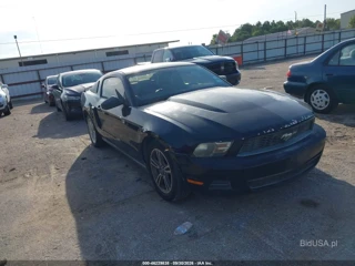 FORD FORD MUSTANG V6/V6 PREMIUM