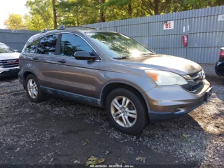 HONDA HONDA CR-V EX