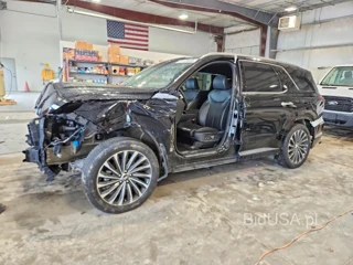 HYUNDAI PALISADE CALLIGRAPHY