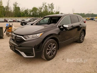 HONDA CR-V EX
