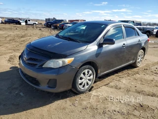 TOYOTA COROLLA BASE