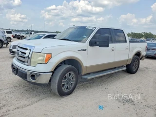 FORD F150 SUPERCREW