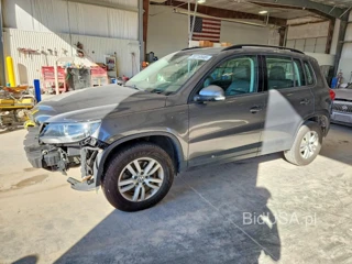 VOLKSWAGEN TIGUAN S