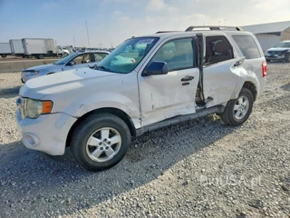 FORD ESCAPE XLT