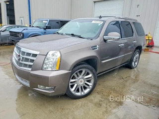 CADILLAC ESCALADE PLATINUM