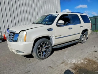 CADILLAC ESCALADE LUXURY