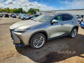 LEXUS NX 350 LUXURY