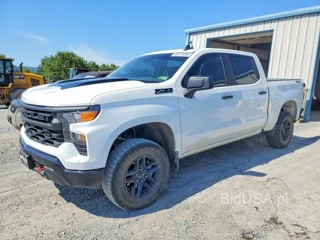 CHEVROLET SILVERADO K1500 TRAIL BOSS CUSTOM