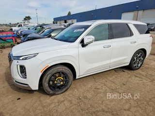 HYUNDAI PALISADE CALLIGRAPHY