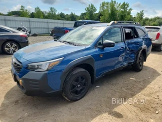 SUBARU OUTBACK WILDERNESS