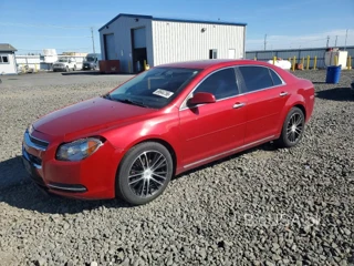 CHEVROLET MALIBU 1LT