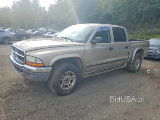 DODGE DAKOTA