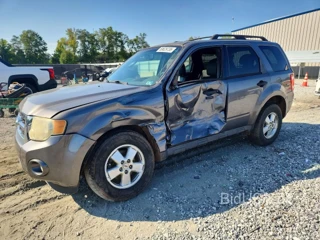 FORD ESCAPE XLT