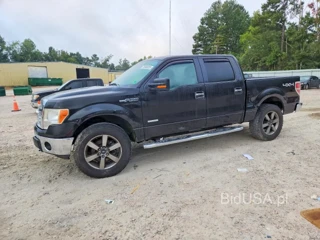 FORD F150 SUPERCREW