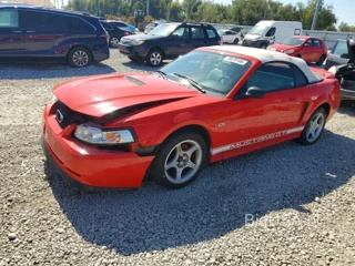 FORD MUSTANG GT