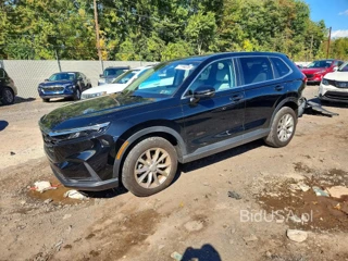 HONDA CR-V EXL