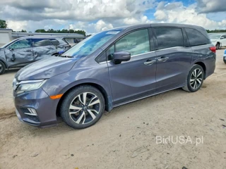 HONDA ODYSSEY ELITE
