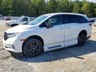 HONDA ODYSSEY SPORT-L