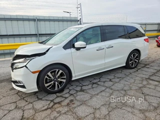 HONDA ODYSSEY ELITE