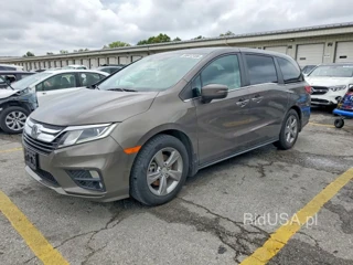 HONDA ODYSSEY EXL
