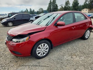 KIA FORTE EX