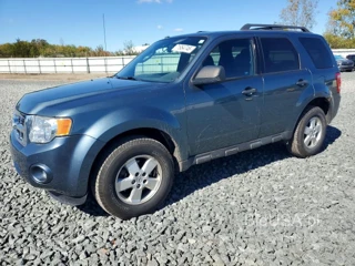 FORD ESCAPE XLT
