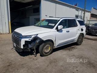 HYUNDAI PALISADE CALLIGRAPHY
